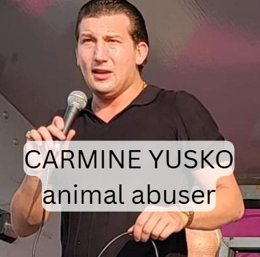 Carmine Salvatore Yusko, animal abuser